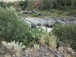 ndolito-24-05-2014 20-46-34